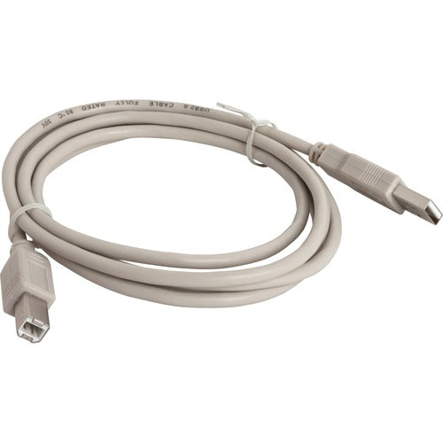 Compucessory  A-B USB 2.0 Cable, Plug and Play, 6', Gray
