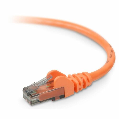 Belkin