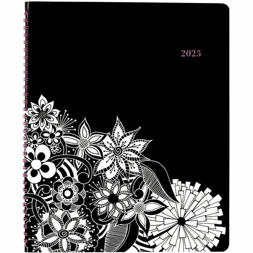AT-A-GLANCE  Wkly/Mthly Appt Bk, 2ppw, 13Mths, 9-3/4"x11-3/4", Ast