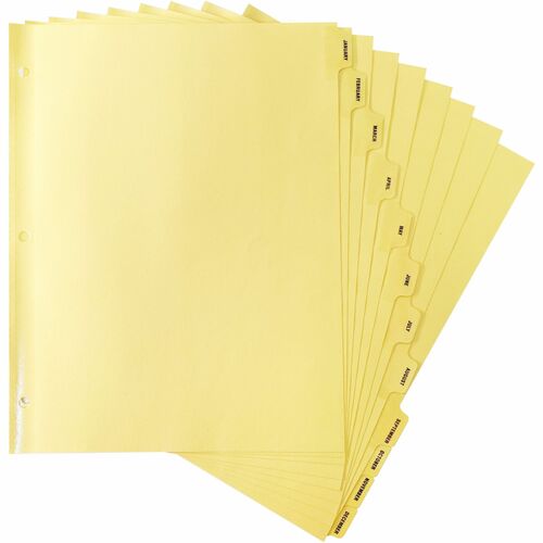 Business Source  Indexes, Plastic Tabs, Mthly, 3HP, 8-1/2"x11",12/ST, Buff