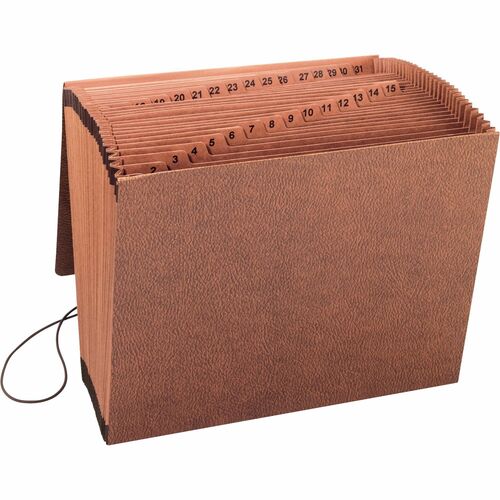 Business Source  Accordion File,w/Flap,1-31,31 Pocket,Letter,12"x10",Brown