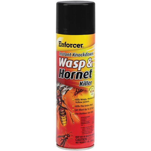 Amrep,Inc.  Insecticide, f/Wasp/Hornets, 16oz, 12/CT, Clear