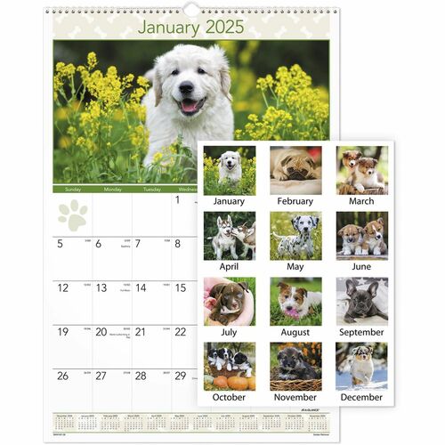 AT-A-GLANCE  Monthly Wall Calendar,12Mth Jan-Dec,15-1/2"x22-3/4",Puppies