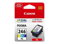 CANON PIXMA MG2420 CL246XL HI COLOR INK