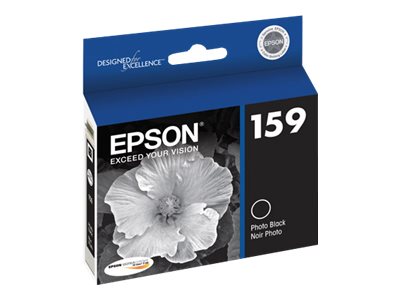 EPSON STYLUS PHOTO R2000 SD YLD PHOTO BLACK INK