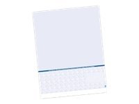 TROY SECURTY CHECK PAPER BOTTOM CHECK BLUE-500PK